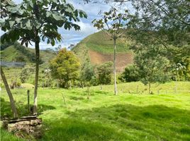  Land for sale in La Ceja, Antioquia, La Ceja