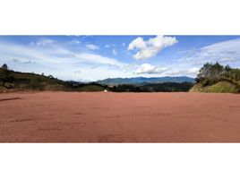 Terrain à vendre à La Ceja, Antioquia, La Ceja, Antioquia, Colombie