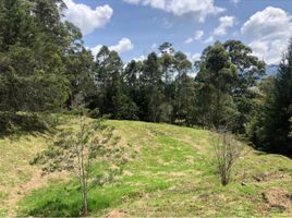  Land for sale in La Ceja, Antioquia, La Ceja