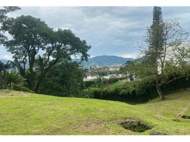  Land for sale in Dosquebradas, Risaralda, Dosquebradas