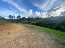  Land for sale in El Carmen De Viboral, Antioquia, El Carmen De Viboral