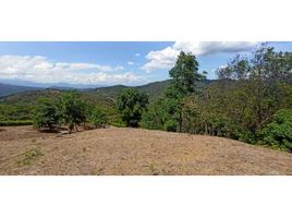  Land for sale in La Mesa, Cundinamarca, La Mesa