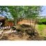 Land for sale in Barichara, Santander, Barichara