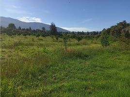  Land for sale in Villa De Leyva, Boyaca, Villa De Leyva