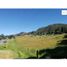  Terrain for sale in Sesquile, Cundinamarca, Sesquile