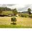  Land for sale in La Ceja, Antioquia, La Ceja