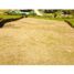  Land for sale in La Ceja, Antioquia, La Ceja