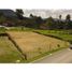  Land for sale in La Ceja, Antioquia, La Ceja