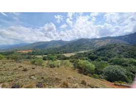  Land for sale in Palmira, Valle Del Cauca, Palmira