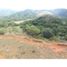  Land for sale in Palmira, Valle Del Cauca, Palmira