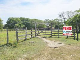  Land for sale in Magdalena, San Zenon, Magdalena