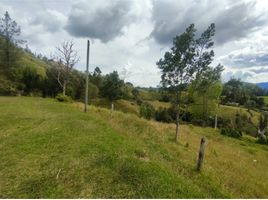 Terrain à vendre à Retiro, Antioquia, Retiro