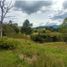 Terrain à vendre à Retiro, Antioquia, Retiro