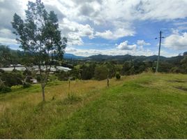 Terrain à vendre à Retiro, Antioquia, Retiro