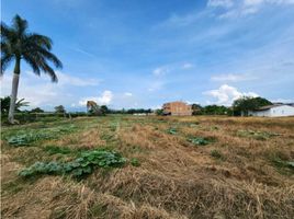  Terreno (Parcela) en venta en Palmira, Valle Del Cauca, Palmira