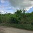  Land for sale in Monteria, Cordoba, Monteria