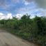  Land for sale in Monteria, Cordoba, Monteria