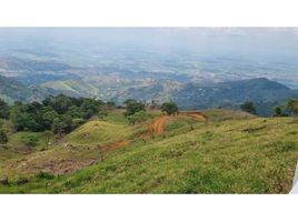  Terreno (Parcela) en venta en Pradera, Valle Del Cauca, Pradera