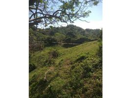  Land for sale in Magdalena, Santa Marta, Magdalena