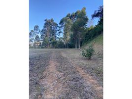 Terrain à vendre à Rionegro, Antioquia, Rionegro