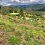  Land for sale in Cali, Valle Del Cauca, Cali