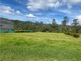  Land for sale in Envigado, Antioquia, Envigado