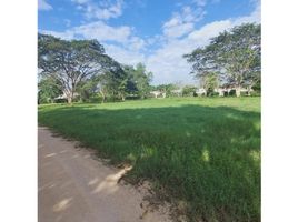  Land for sale in Monteria, Cordoba, Monteria