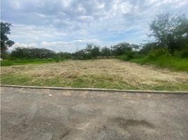  Land for sale in El Cerrito, Valle Del Cauca, El Cerrito