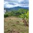  Land for sale in La Mesa, Cundinamarca, La Mesa