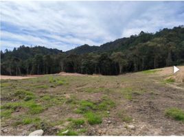  Land for sale in Envigado, Antioquia, Envigado