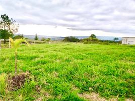  Land for sale in Cauca, Popayan, Cauca