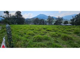  Land for sale in Chinacota, Norte De Santander, Chinacota