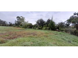  Terreno (Parcela) en venta en El Carmen De Viboral, Antioquia, El Carmen De Viboral