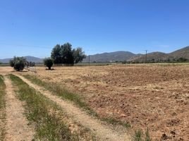  Terreno (Parcela) en venta en Ensenada, Baja California, Ensenada