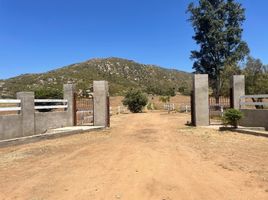  Grundstück zu verkaufen in Ensenada, Baja California, Ensenada