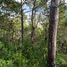  Land for sale in San Cristobal De Las Casas, Chiapas, San Cristobal De Las Casas, Chiapas