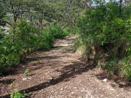  Land for sale in San Cristobal De Las Casas, Chiapas, San Cristobal De Las Casas, Chiapas