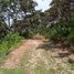  Land for sale in San Cristobal De Las Casas, Chiapas, San Cristobal De Las Casas, Chiapas