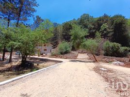  Terreno (Parcela) en venta en San Cristobal De Las Casas, Chiapas, San Cristobal De Las Casas
