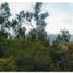  Land for sale in Chia, Cundinamarca, Chia