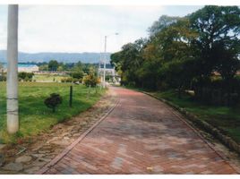  Land for sale in Chia, Cundinamarca, Chia