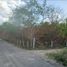  Grundstück zu verkaufen in Baca, Yucatan, Baca
