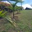  Land for sale in Guarne, Antioquia, Guarne