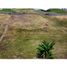  Land for sale in Manizales, Caldas, Manizales