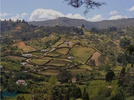  Terreno (Parcela) en venta en Guarne, Antioquia, Guarne