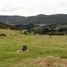  Terreno (Parcela) en venta en La Calera, Cundinamarca, La Calera