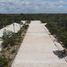  Terreno (Parcela) en venta en Cozumel, Quintana Roo, Cozumel