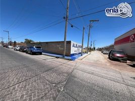  Terreno (Parcela) en alquiler en Durango, Durango, Durango, Durango