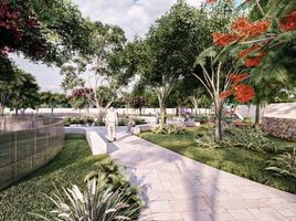  Terreno (Parcela) en venta en Tixpehual, Yucatán, Tixpehual, Yucatán, México