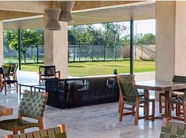  Land for sale in Merida, Yucatan, Merida, Yucatan